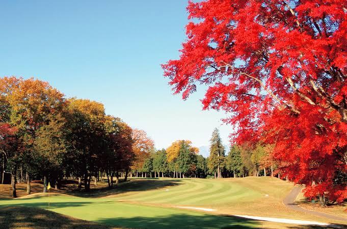 紅葉×ゴルフ.jpg