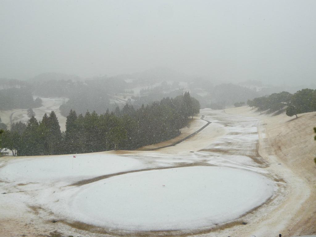 今日は、雪ですね...